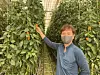 Farmer Park Sam-sup shows the raon bell pepper, a smaller variety of the vegetable that single-person households prefer. [KANG KI-HEON]