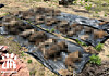 Discovered bodies of dead dogs [LIFE, JOONGANG PHOTO]