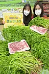 Models promote water dropwort, or minari in Korean, at Hanaro Mart’s Yangjae branch in Seocho District, southern Seoul, on Wednesday. The plant, which was harvested in Cheongdo County in North Gyeongsang, is known to remove toxins from the body and purify blood. [YONHAP]