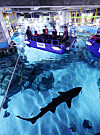 Visitors try a marine expedition vessel at a preview event for “Sea at Night,” a new themed zone unveiled at COEX Aquarium in Gangnam District, southern Seoul, on July 17. [NEWS1]