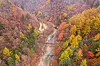 Odaesan National Park’s Seonjaegil Trail in Gangwon [KOREA TOURISM ORGANIZATION]