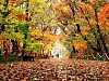 Hamyang Sangnim Forest in Hamyang, South Gyeongsang [KOREA TOURISM ORGANIZATION]