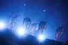 Boy band Infinite held its ″Comeback Again″ concert on Saturday and Sunday at the KSPO Dome, Songpa District, southern Seoul. It was the boy band's first concert in seven years [INFINITE COMPANY]