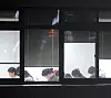 테스트