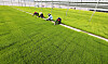 Farming officials inspect young rice plants at a rice farm in Icheon, Gyeonggi, on Monday, three days ahead of 'gogwoo.' Gogwoo, one of the 24 seasons in the lunar calendar, means the rainfall season for seeding. [YONHAP]