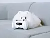 테스트