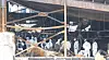 Firefighters and forensic workers conduct a joint investigation on Tuesday at a lithium battery plant in Hwaseong, Gyeonggi, where a fire broke out on Monday, resulting in 23 deaths. [JOONGANG ILBO]