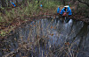 A swamp at Yeouido Saetgang Ecological ParK [YONHAP]