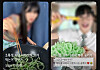 YouTubers have uploaded videos of themselves making and eating fried starch toothpicks. [SCREEN CAPTURE]