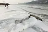 테스트