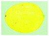 ″Lemon″(2021) is part of the ongoing solo exhibition by Kim Jiwon at PKM Gallery near the Blue House in central Seoul. [PKM GALLERY]