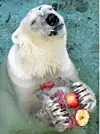 테스트