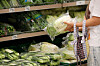 A customer holds a head of napa cabbage at a supermarket in central Seoul. According to the Korea Agro-Fisheries & Food Trade Corporation, the price of napa cabbage is about 10,689 won ($9.28) per head as of Oct. 7, a 40 percent hike compared to a year earlier. [NEWS1]