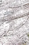 테스트