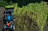 A farmer on a tractor shovels zucchini at a farm in Hwacheon County, Gangwon, on Sunday. Zucchini farmers have been destroying their crops as prices plummet. Sunny weather and high temperature helped increase yields, but demand dropped due to the Covid-19 pandemic. [YONHAP]