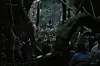 A statue of the rural god the townspeople worship. [SHOWBOX]