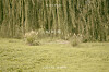Davichi will release a new single on Oct. 18. [WAKEONE]