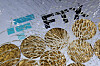 The FTX logo and a representation of cryptocurrencies are seen through broken glass in this illustration created on December 13, 2022. [REUTERS]