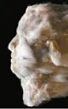 테스트