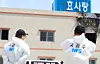 테스트