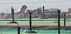 The Sudokwon Landfill in Seo District, Incheon [YONHAP]
