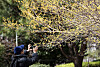A person takes photos of cornel blossoms in Suyeong District, Busan on Monday afternoon. [NEWS1]