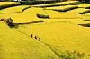 Mount Jiri, one of the mountains is expected to change its colors the earliest, brings in many visitors looking to experience the fall foliage. [KOREA TOURISM ORGANIZATION]