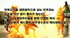 테스트