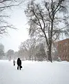 테스트