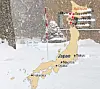 테스트