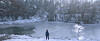 A still image from the film ″Letters from Antarctica″ (2019), one of the seven films being played during the KF World Cinema Week. [KF]