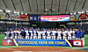 Team Korea celebrates qualifying for the 2020 Tokyo Olympic after winning the 2019 WBSC Premier12 Super Round against Mexico on Nov. 15, 2019. [NEWS 1]