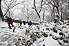 Snow covers Nam Mountain in central Seoul on Sunday as hikers trail up the mountain. [NEWS1]