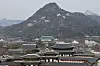 Attention is turning toward Sejong and whether President-elect Yoon Suk-yeol will follow through with his pledge to make it Korea’s “real capital.” Yoon vowed to create a second office in Sejong and to relocate the current main office from the Blue House, seen above, to Gwanghwamun in central Seoul, an area teeming with high-rise office buildings. [YONHAP]