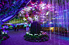 Daejeon O-World's Magic Nature is a popular photo spot among Night Universe visitors. [KOREA TOURISM ORGANIZATION]