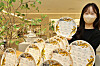 A model shows off porcelain plates made by ceramic maker ZEN with next year's calendar printed on them, at the company's store in Lotte Department Store's Jamsil branch in southern Seoul, on Thursday. A tiger is featured on the plates to celebrate 2022, the year of the tiger according to the lunar calendar. [LOTTE SHOPPING]