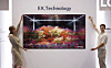 LG Display to supply OLED TV panels to Samsung Electronics