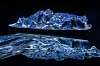 A scene from ″Finite″(2021), an immersive audio-visual installation by artist Yiyun Kang [PKM GALLERY]