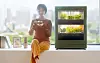 Flowers and vegetables are grown in the LG Tiiun, LG Electronics' indoors plant-growing device. [LG ELECTRONICS]