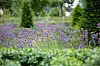 Gardens of Admont Abbey [THOMAS SATTLERA]