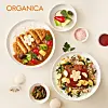 Vegetarian Five Color Bibimbap and Vegetarian Schnitzel Curry Rice, plant-based meals from Organica [ORGANICA]