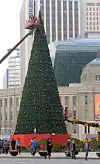 테스트