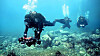 The JoongAng Ilbo's special reporting team and researchers at the Korea Institute of Ocean Science and Technology (Kiost) swim and search in the ocean near Ulleung Island. [JOONGANG PHOTO]