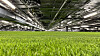 The Tottenham Hotspur football pitch is stored inside the underground parking lot under the South Stand of Tottenham Hotspur Stadium in London on Dec. 5. The pitch can be stored in the space, which the club calls the 'pitch pocket,' for up to two weeks.  [JIM BULLEY]