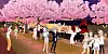 SK Telecom's metaverse platform ifland [SK TELECOM]