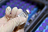 A vial of the Pfizer Covid-19 vaccine. [KIM SUNG-TAE]