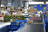 A delivery worker sorts packages at a CJ Logistics warehouse in Gwangju, Gyeonggi, on Tuesday. [YONHAP]