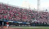Fans watch a game between the Lotte Giants and the LG Twins at Sajik Baseball Stadium in Busan on Oct. 8, 2022. [NEWS1]