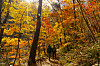 Mountain climbers visit Odaesan National Park in Gangwon to see beautiful fall foliage. [BAEK JONG-HYUN]