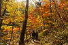 Mountain climbers visit Odaesan National Park in Gangwon to see beautiful fall foliage. [BAEK JONG-HYUN]